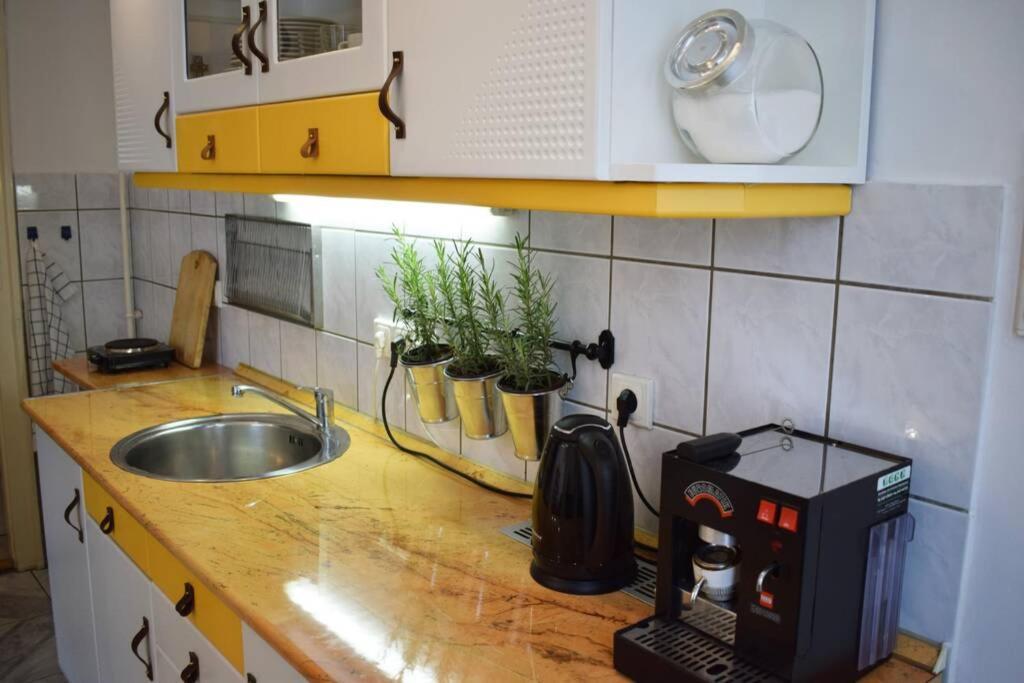 Cosy Apartment Just Next To Parliament Budapest Luaran gambar